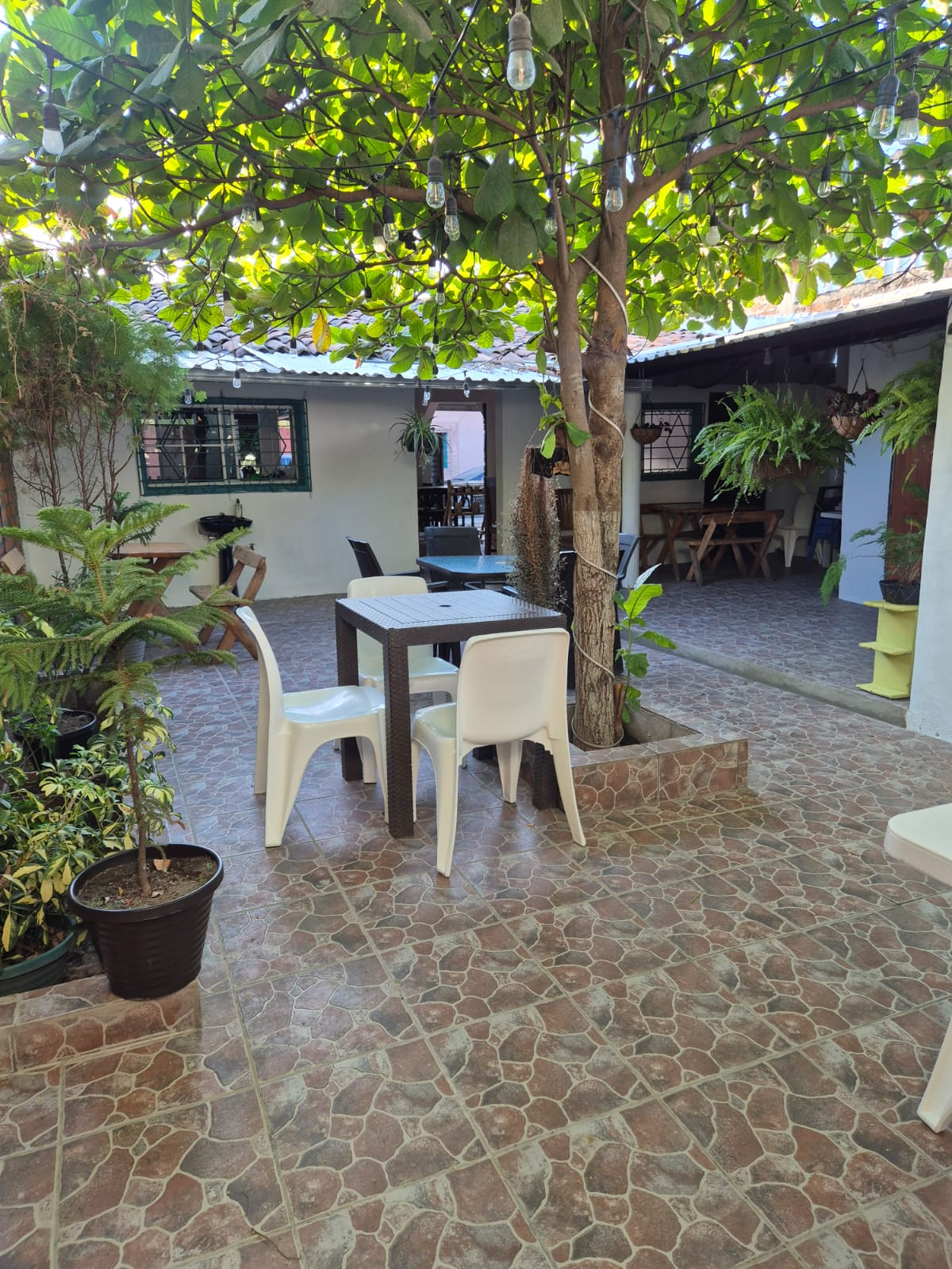 Ambiente del restaurante